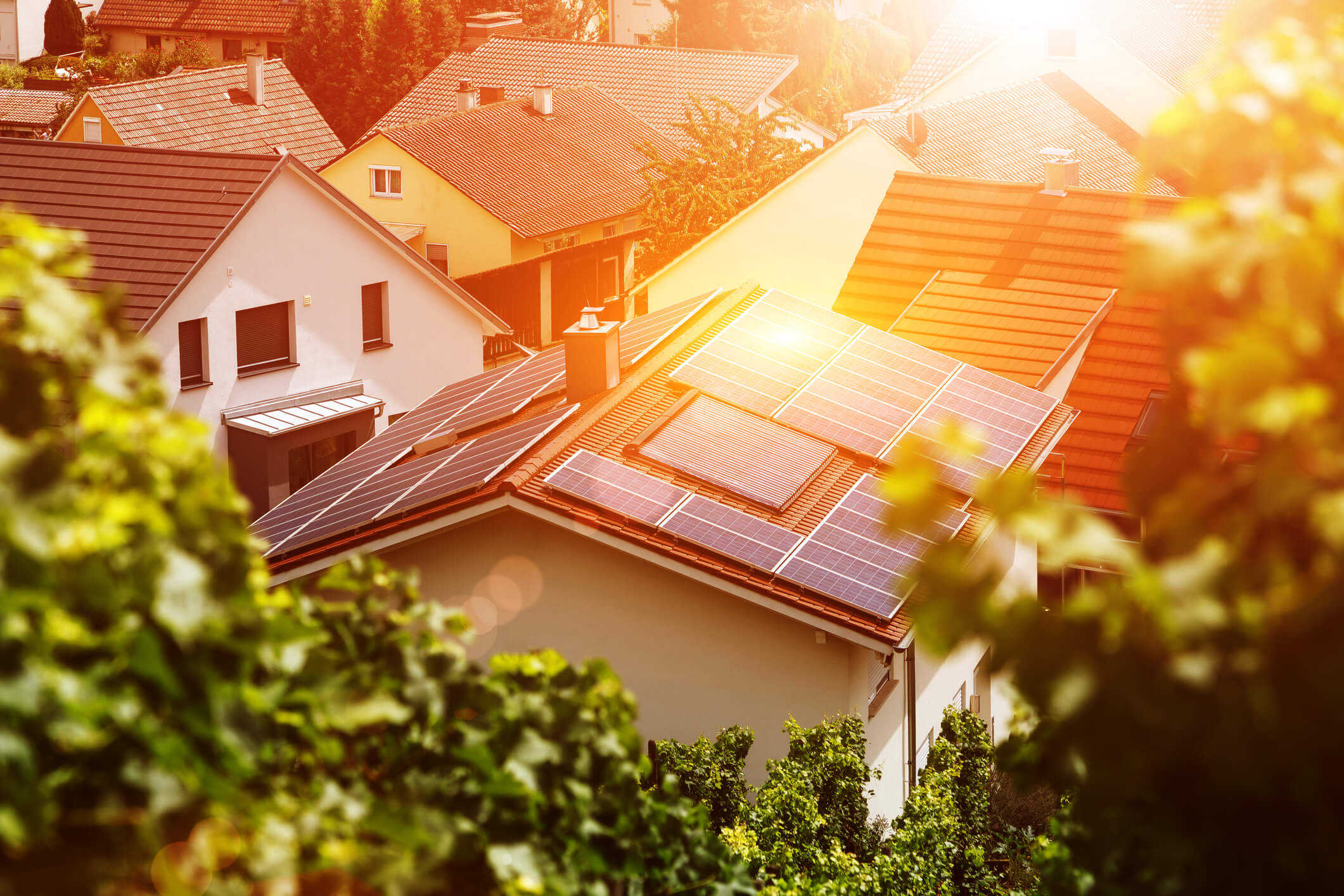 Should I Switch to Solar Energy? [Fun Facts] | Current Home