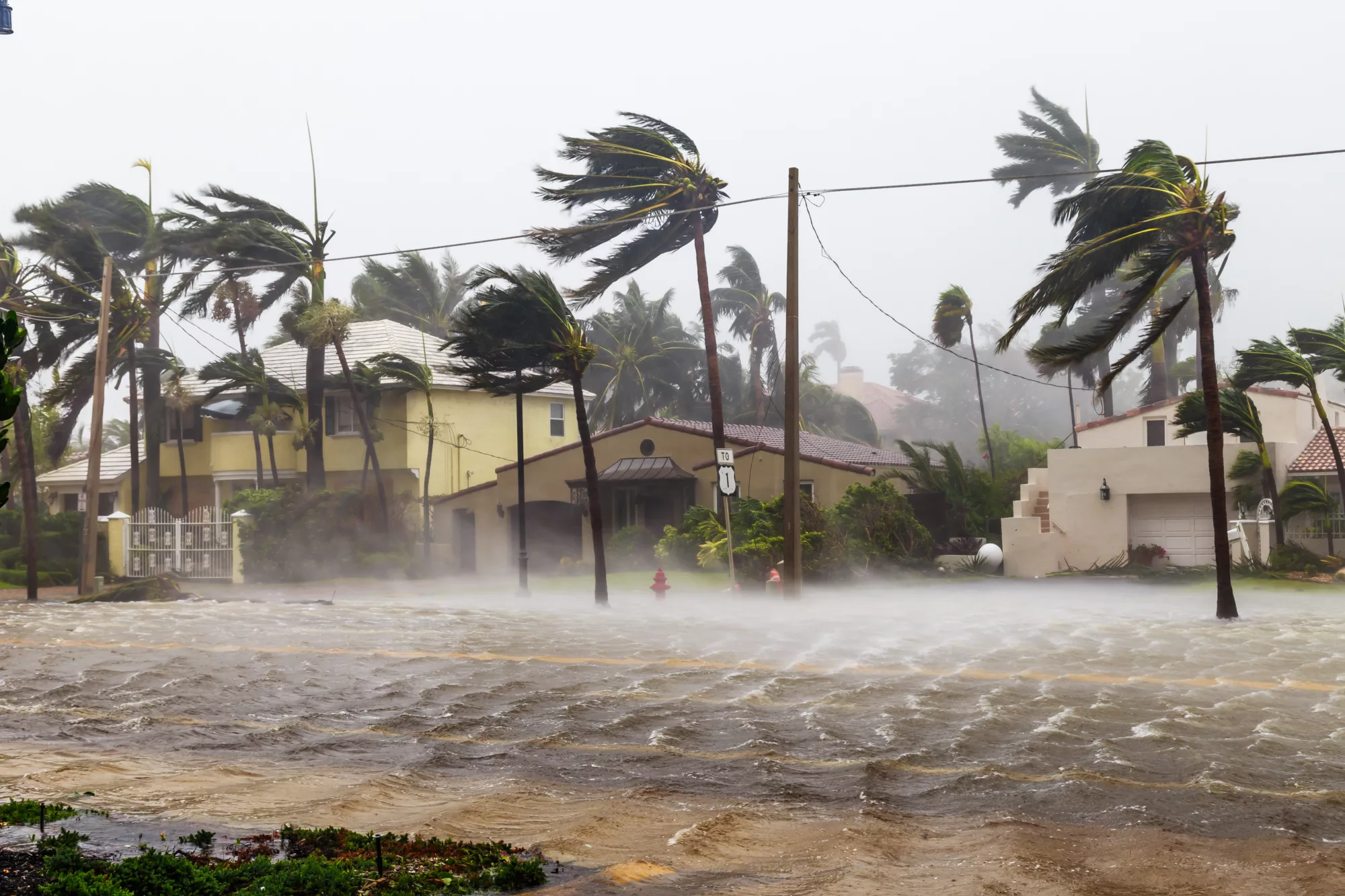 The Severity of Hurricanes and it's effects