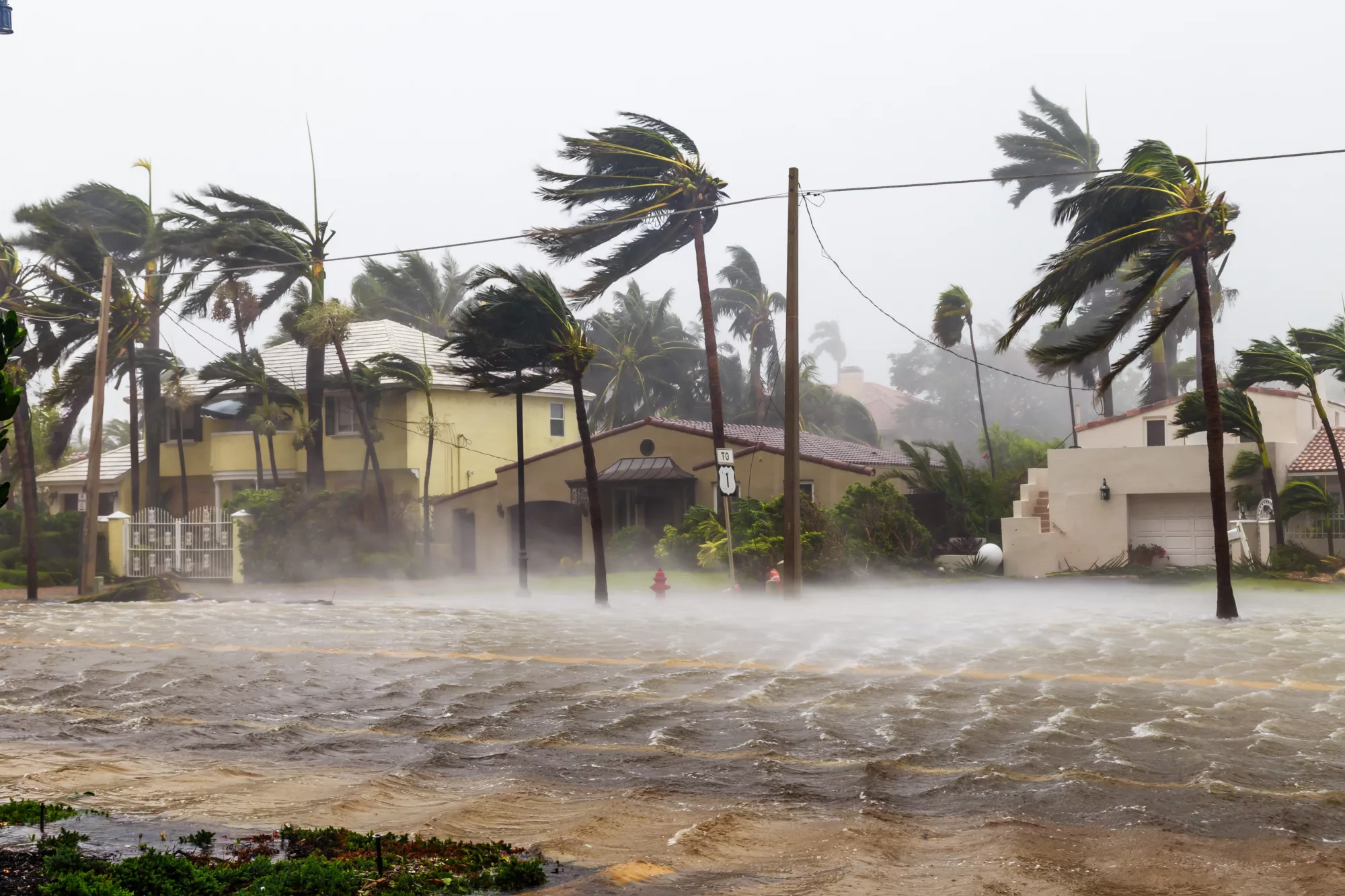 The Severity of Hurricanes and it's effects on residential homes in Florida.