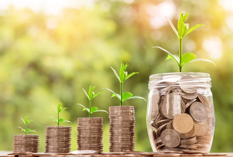 money being saved with solar panels and represented as a growing plant.